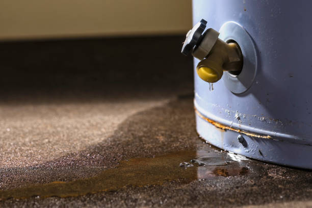 Best 24-hour water damage restoration  in Bassett, VA