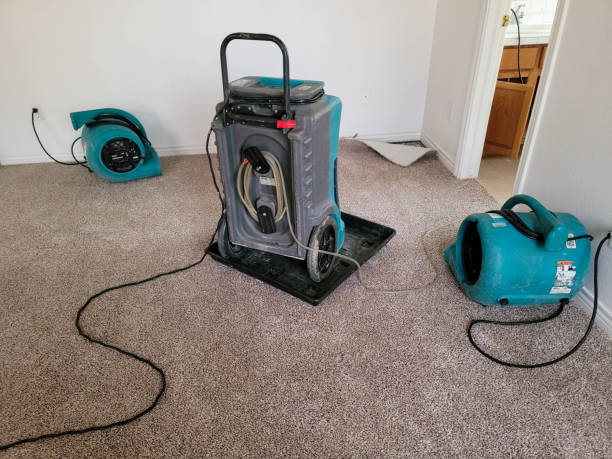 Best Flood damage cleanup  in Bassett, VA