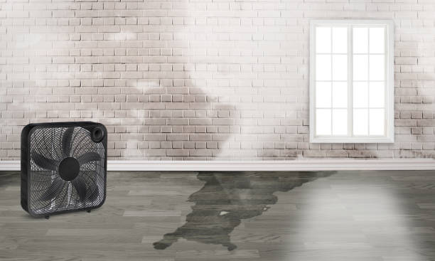 Best Ceiling water damage repair  in Bassett, VA