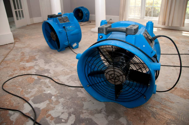 Best Water damage restoration near me  in Bassett, VA