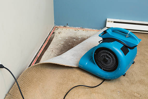 Best Water damage restoration near me  in Bassett, VA